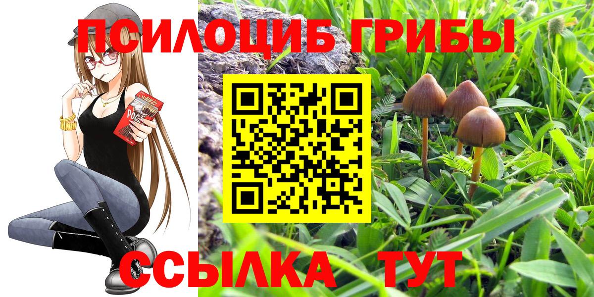 Галлюциногенные грибы GOLDEN TEACHER Верхняя Салда
